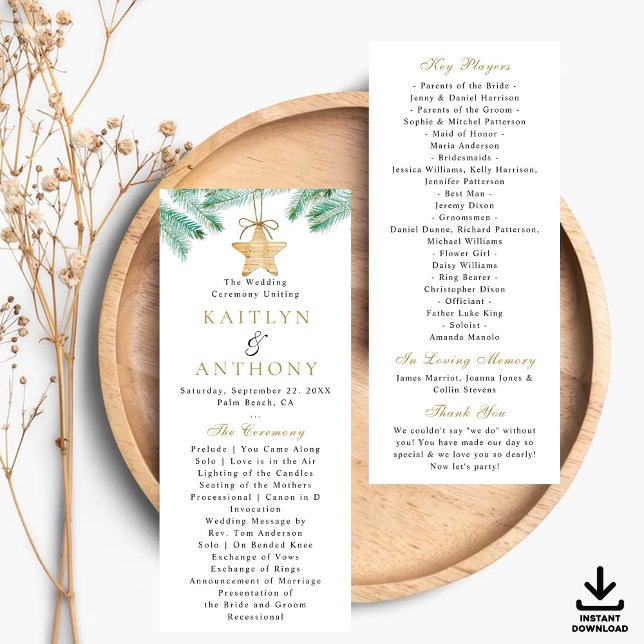 Watercolor Gräs Boughs Winter Wedding Program (Skapare uppladdad)