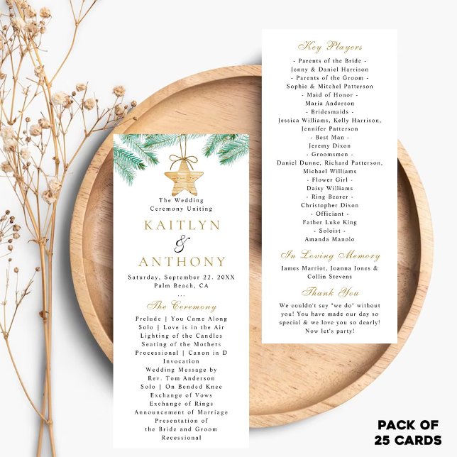 Watercolor Gräs Boughs Winter Wedding Program (Skapare uppladdad)