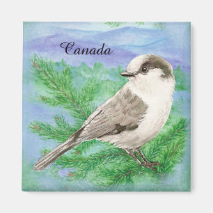Watercolor Grått, Grått eller Canada Jay Bird Anpa Magnet