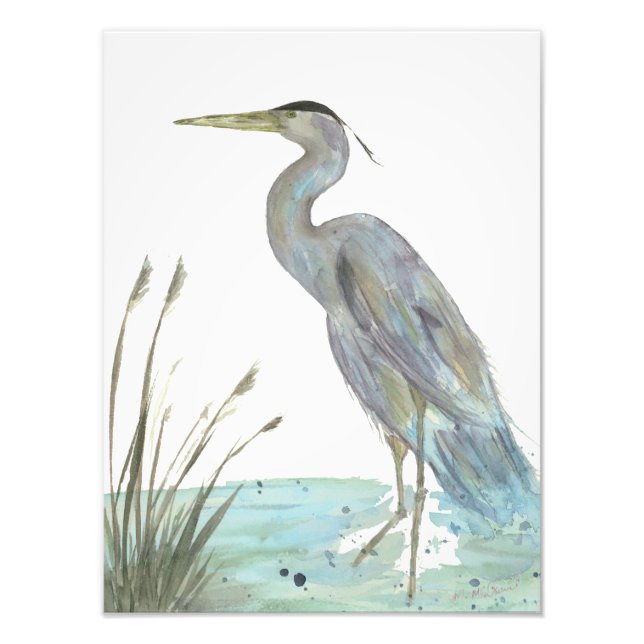 Watercolor Heron Fototryck (Framsidan)