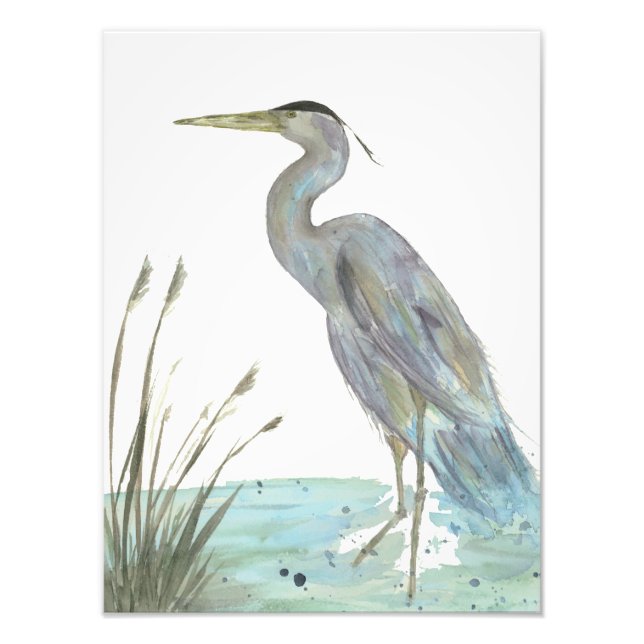 Watercolor Heron i Marsh Fototryck (Framsidan)