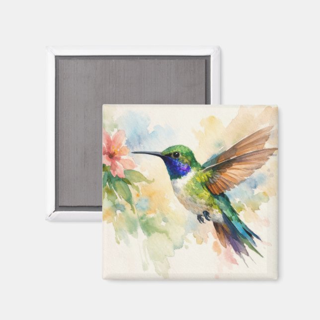 Watercolor Hummingbird Magnet (Front/Back)