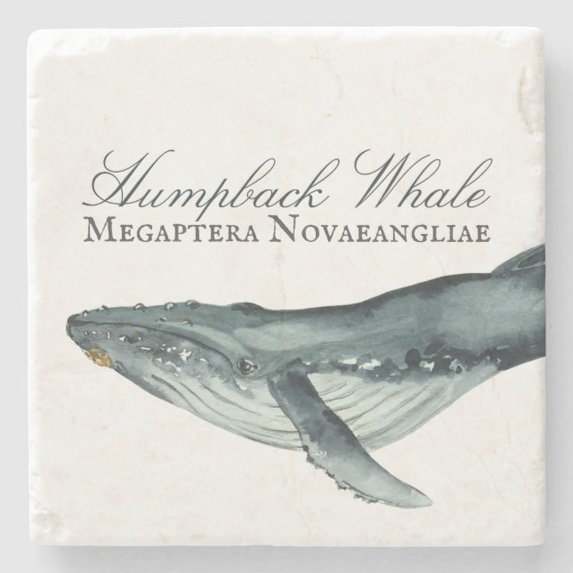 Watercolor Humpback Whale, Megaptera Novaeangliae Stenunderlägg (Framsidan)