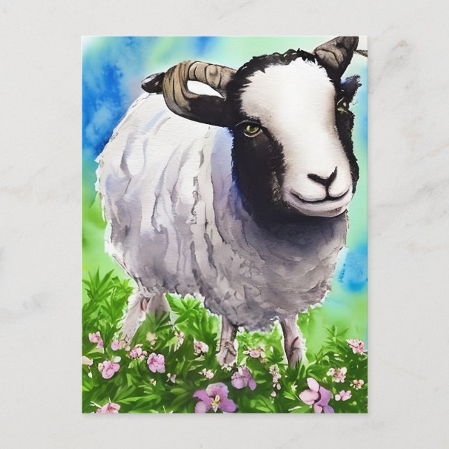 Watercolor Jacob Sheep Vykort (Framsida)