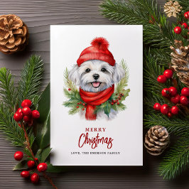 Watercolor jul, maltesisk Hund Julkort