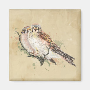 Watercolor Kestrel Bird Fågelskådning Art Magnet