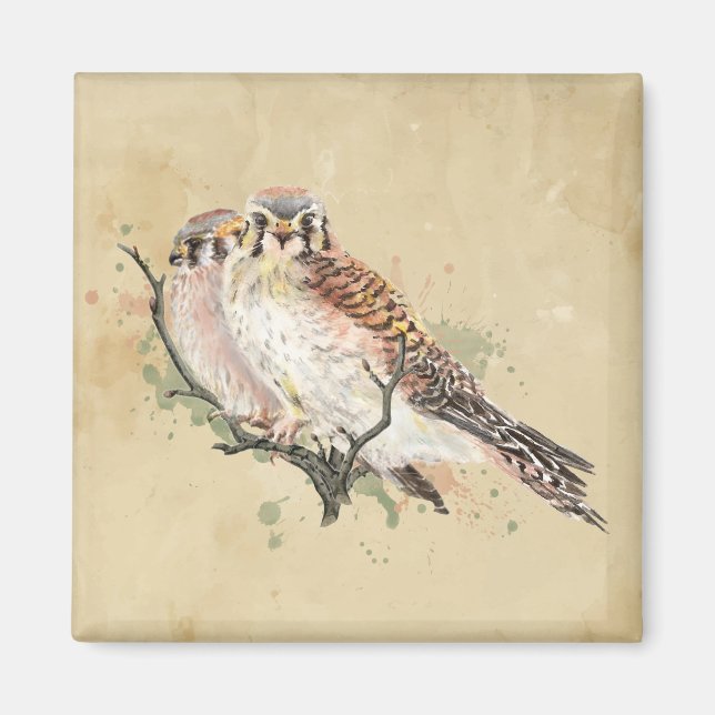 Watercolor Kestrel Bird Fågelskådning Art Magnet (Framsidan)