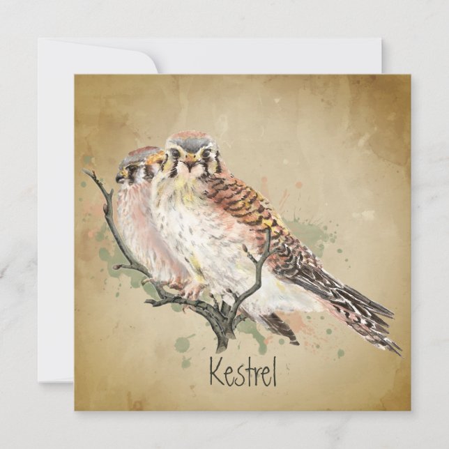 Watercolor Kestrel Falcon Wildlife Bird Art (Framsida)