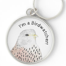 Watercolor Kestrel, jag är en Fågelskådare