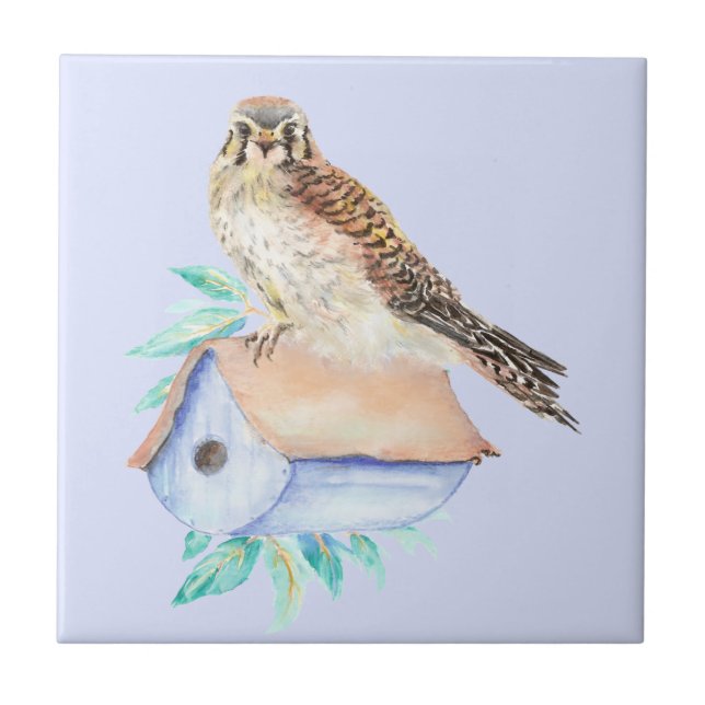 Watercolor Kestrel Sparrow Hawk Bird Kakelplatta (Framsidan)