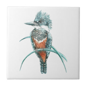 Watercolor Kingfisher Bird Wildlife Art Kakelplatta