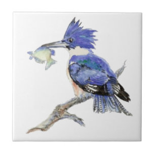 Watercolor Kingfisher Bird Wildlife Kakelplatta