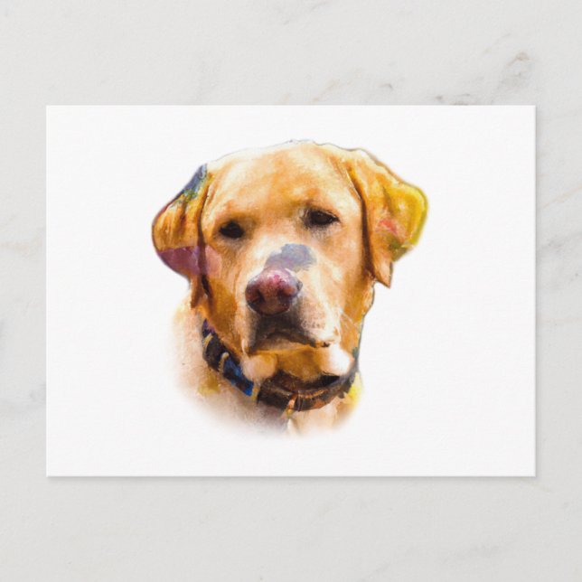 Watercolor Labrador Retriever Vykort (Framsida)