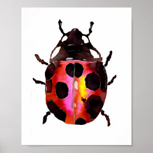 Watercolor Ladybug Poster