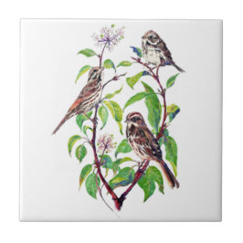 Watercolor Little Bird i Dogwood träd Bird Art Kakelplatta