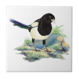 Watercolor Magpie Bird Wildlife Art Kakelplatta