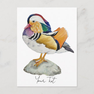 Watercolor Mandarin Duck Vykort