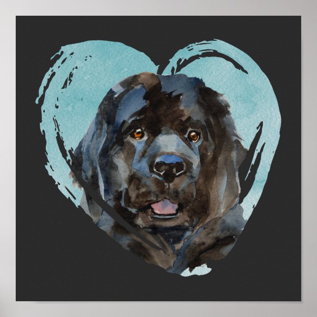 Watercolor Newfoundland Porträtt Poster (Framsidan)