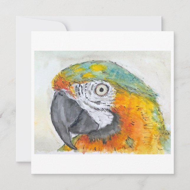 Watercolor of Parrot on Flat Card (Framsida)