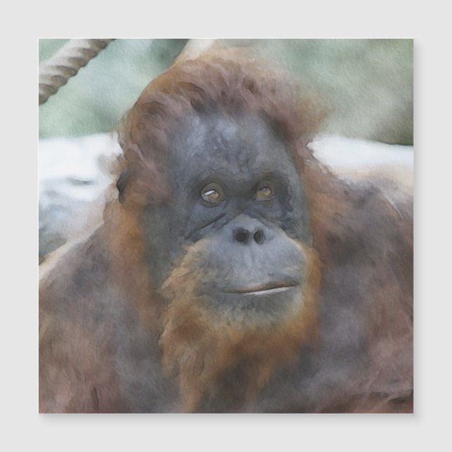 Watercolor Orang (Framsida)