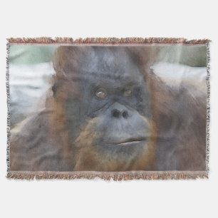Watercolor Orang Filt