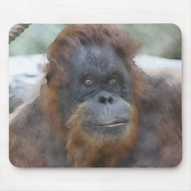 Watercolor Orang Musmatta (Framsidan)