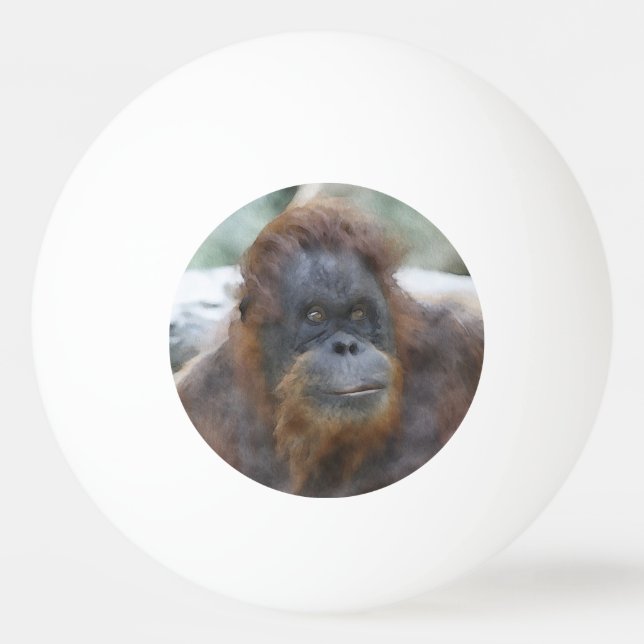 Watercolor Orang Pingisboll (Framsidan)