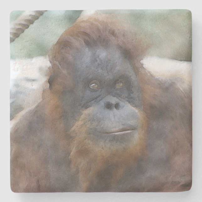 Watercolor Orang Stenunderlägg (Framsidan)
