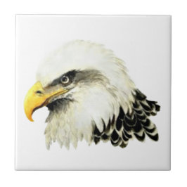 Watercolor Örn Bird Wildlife Art Kakelplatta