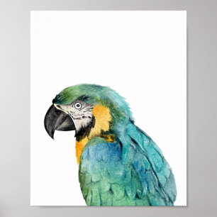 Watercolor Parrot Bird Blue Guld Macaw Poster