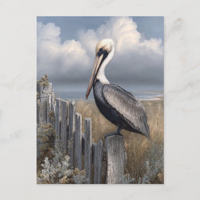 Watercolor Pelican on a Fence Vykort (Framsida)