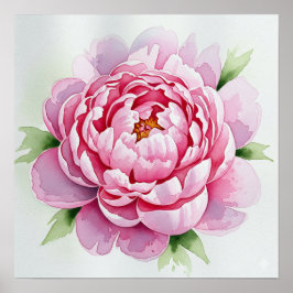 Watercolor Peony Poster