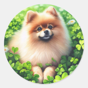 Watercolor Pommanian Grönt Shamrock Fält Runt Klistermärke