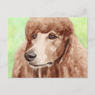 Watercolor Pudel Vykort