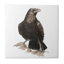 Watercolor Raven Bird Wildlife Art