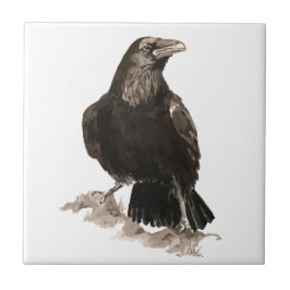 Watercolor Raven Bird Wildlife Art Kakelplatta