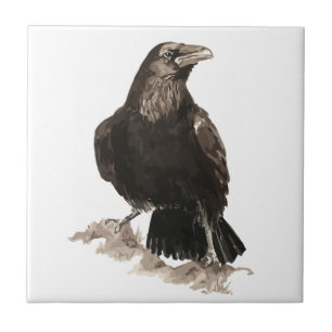 Watercolor Raven Bird Wildlife Art Kakelplatta