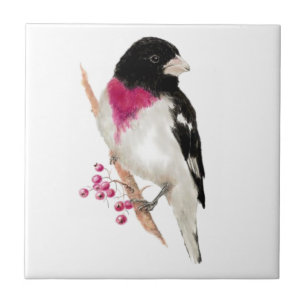 Watercolor Ro Breast Grosbeak Bird Wildlife Kakelplatta