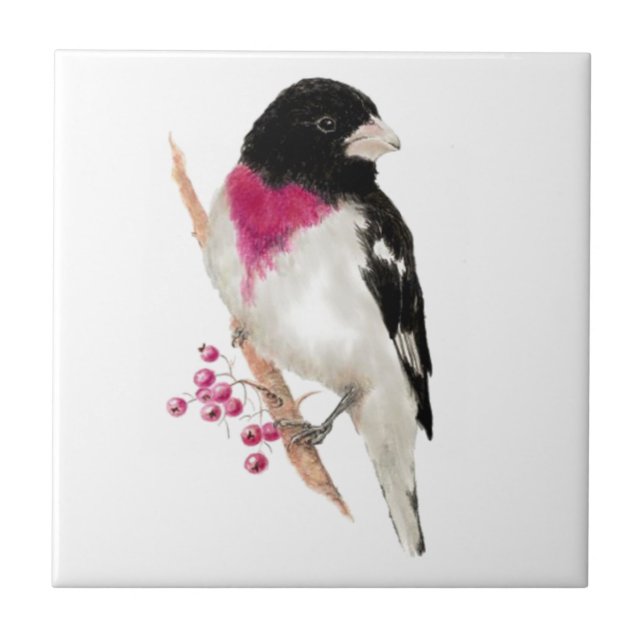 Watercolor Ro Breast Grosbeak Bird Wildlife Kakelplatta (Framsidan)