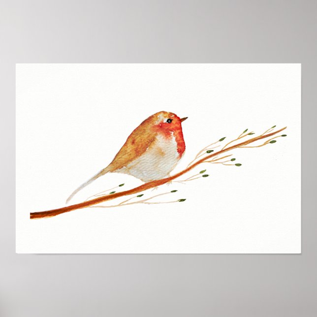 Watercolor Robin Bird Poster (Framsidan)