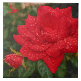 Watercolor Rose Kakelplatta