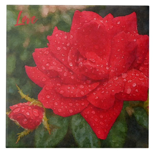 Watercolor Rose Kakelplatta (Framsidan)