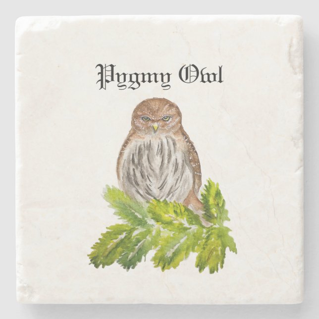 Watercolor Saw Whet Cute Little Uggla Stenunderlägg (Framsidan)
