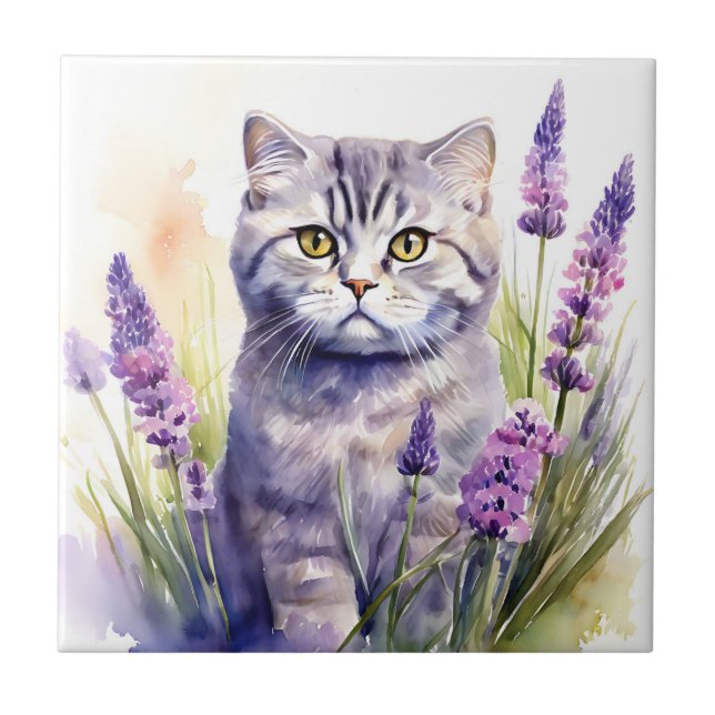 Watercolor Scottish Fold Cat i Lavender Fält Kakelplatta (Framsidan)
