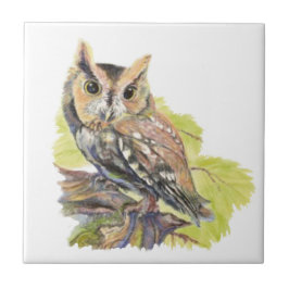 Watercolor Screech Uggla Bird Wildlife Kakelplatta
