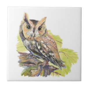 Watercolor Screech Uggla Bird Wildlife Kakelplatta