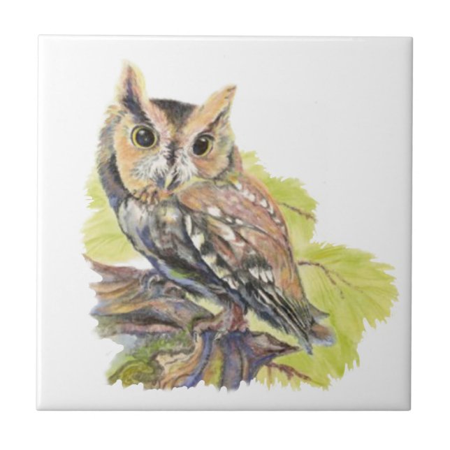 Watercolor Screech Uggla Bird Wildlife Kakelplatta (Framsidan)
