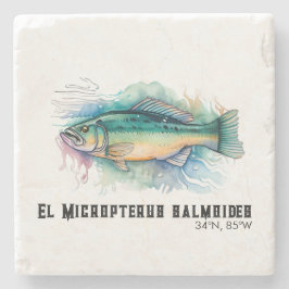 Watercolor Series: Bass Stenunderlägg