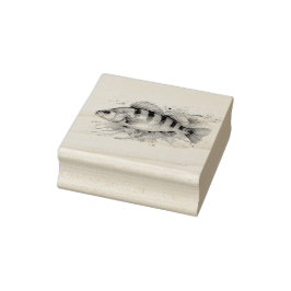 Watercolor Series: Perch Stämpel