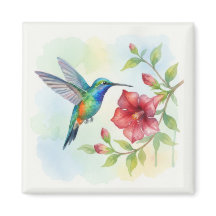Watercolor Small Hummingbird